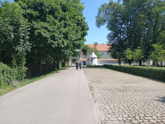 A pathway lined with lush green trees on the left, leading towards a building with a red-tiled roof in the background. Two people are walking down the path, with a cobblestone area to the right.