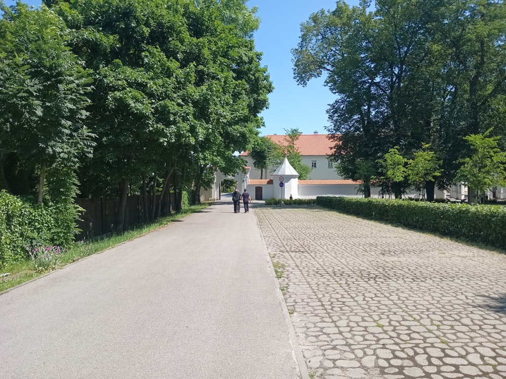 a couple of people walking down a street next to trees