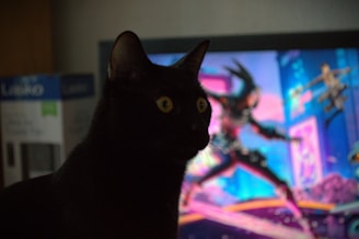 A black cat is silhouetted against a colorful and dynamic animated background on a screen. The cat's eyes are wide open, reflecting the light from the screen behind it. The background features vibrant neon-like colors with blurred action figures suggesting a scene from a video game or animated film.