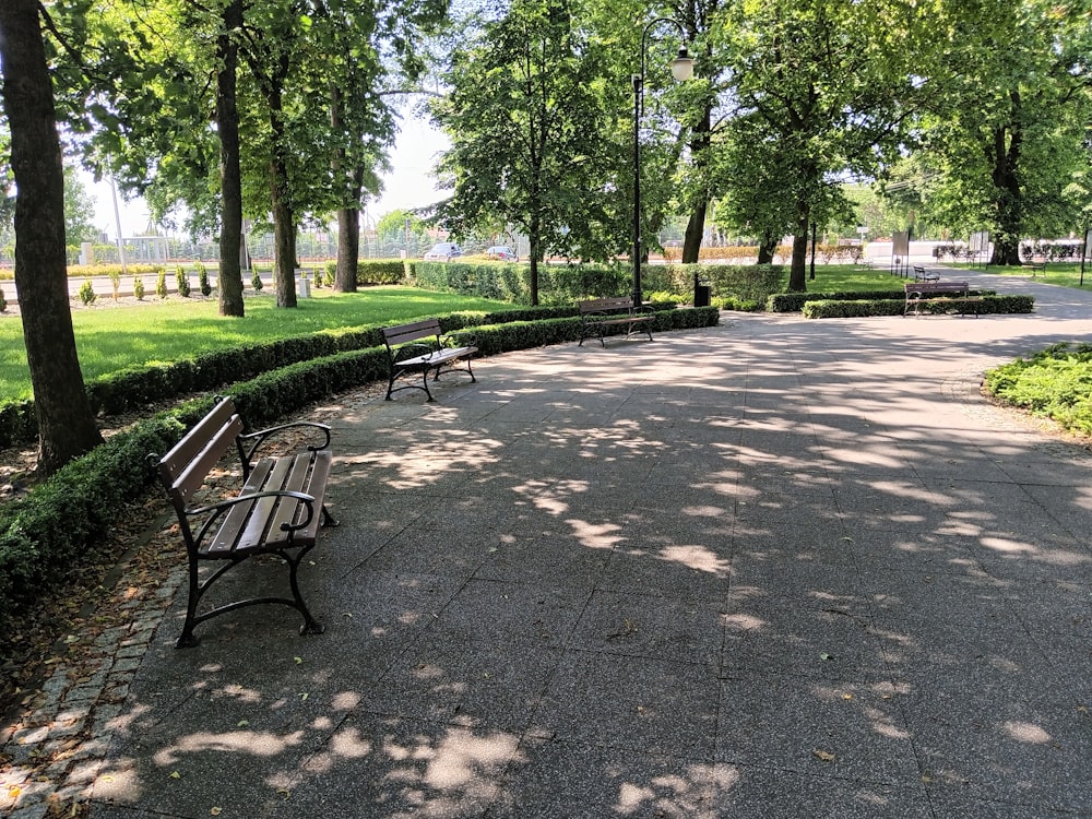 a couple of benches sitting in the middle of a park
