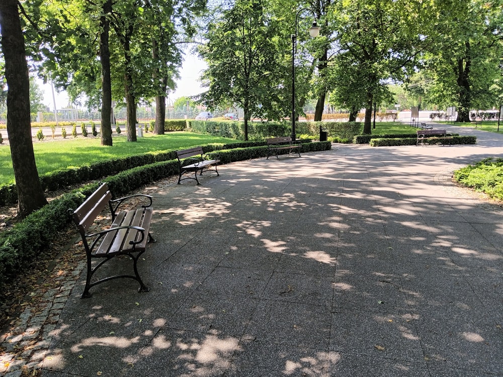 Un paio di panchine sedute nel mezzo di un parco