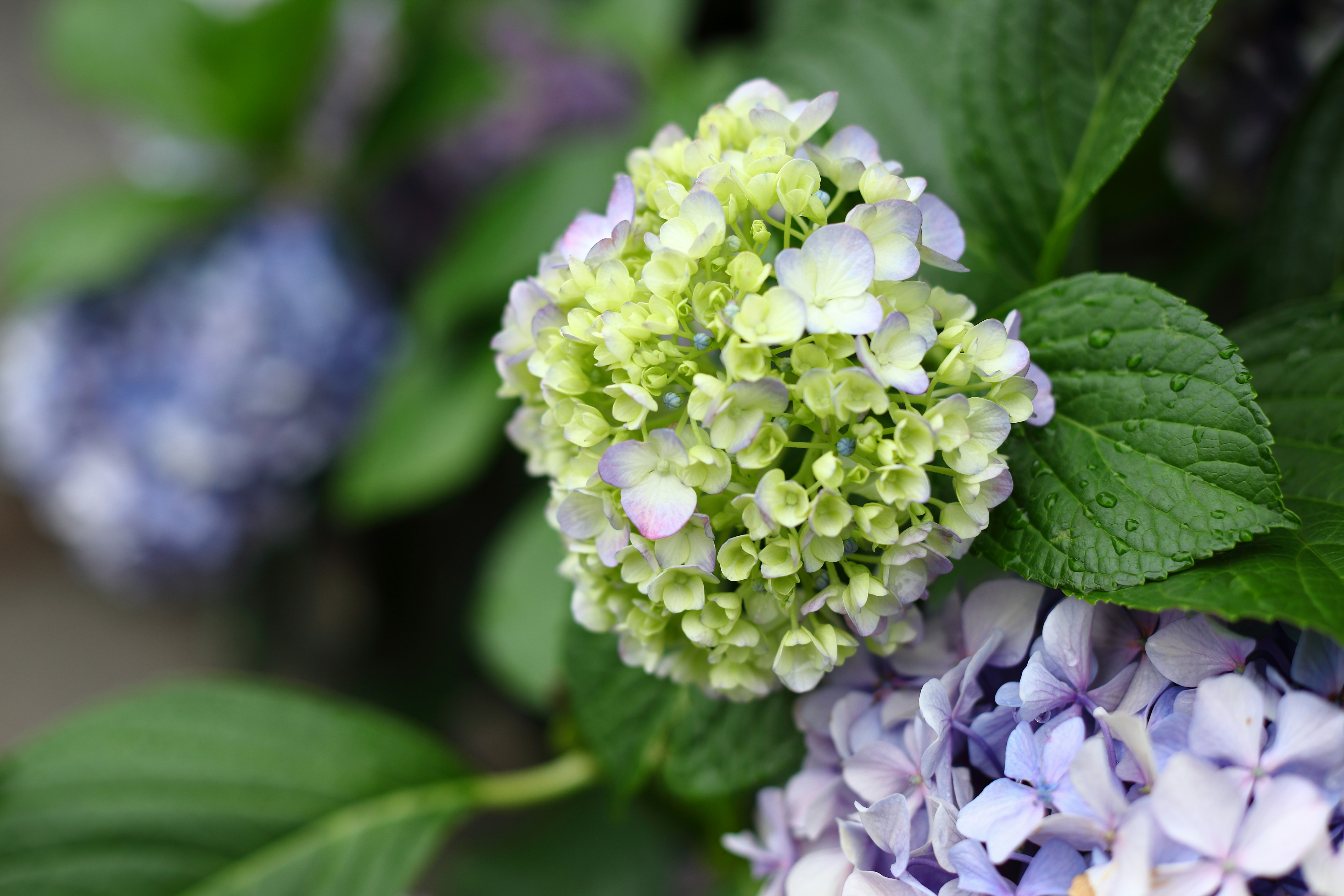 Photo by takatsuchida