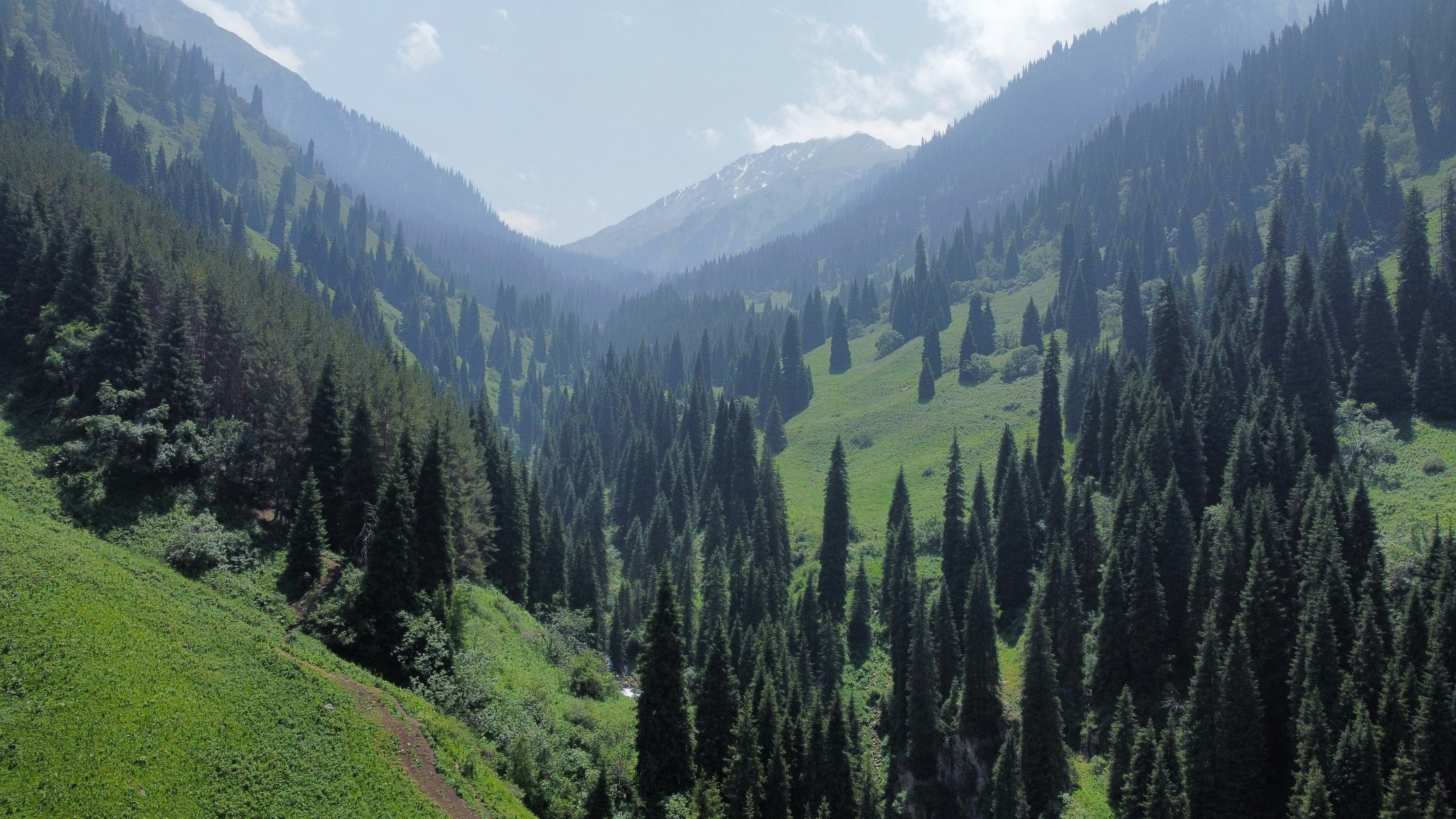 First Time Travelers Guide to Using Eco Buses in Almaty