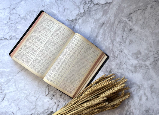 an open book sitting on top of a table
