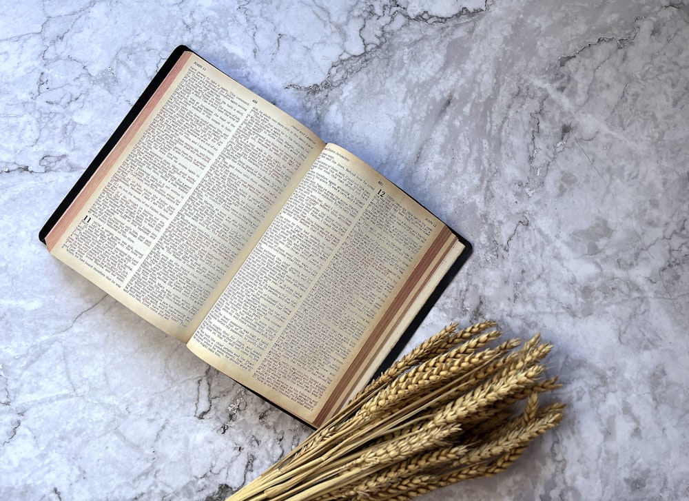 an open book sitting on top of a table