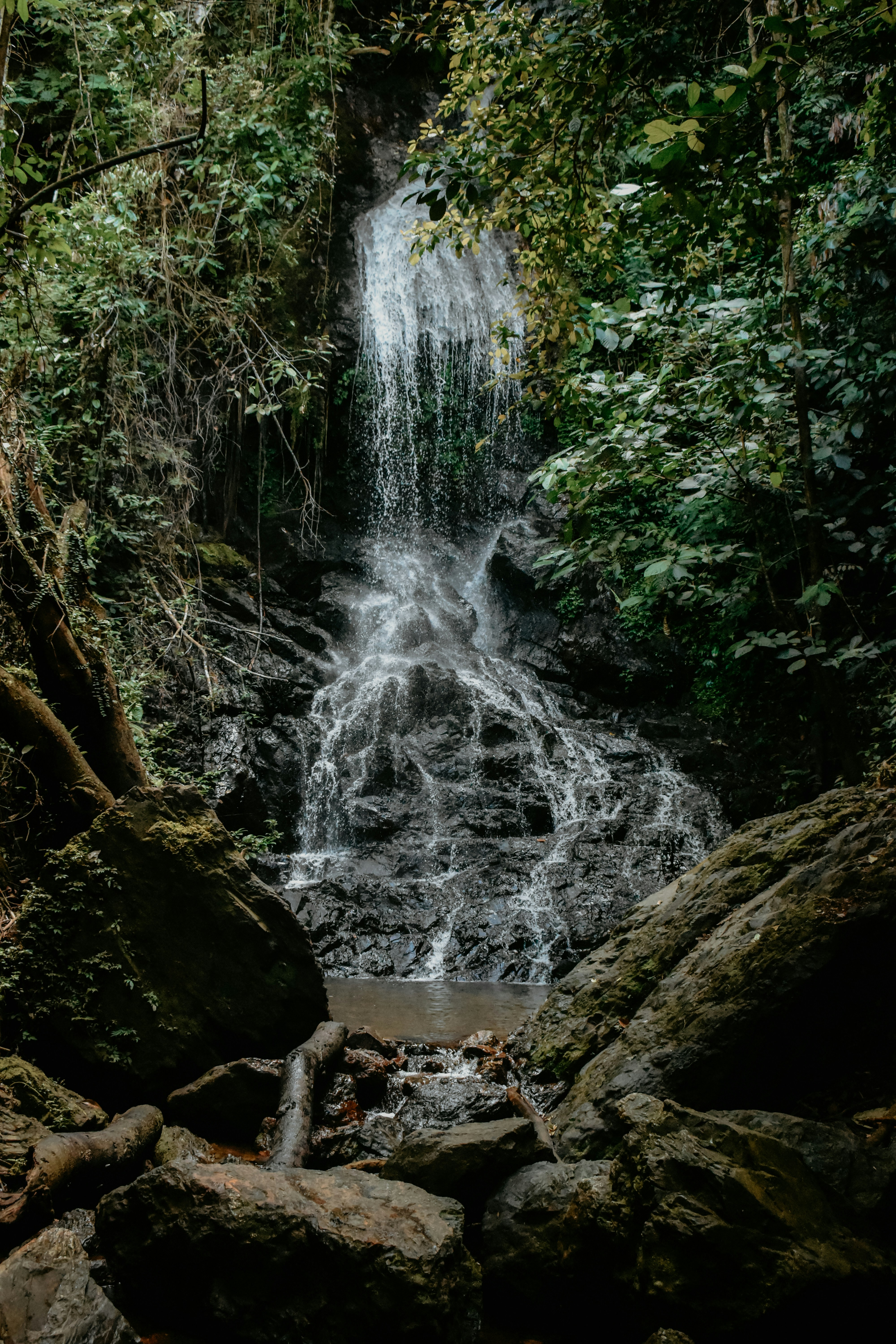 Photo by taufiqakbar