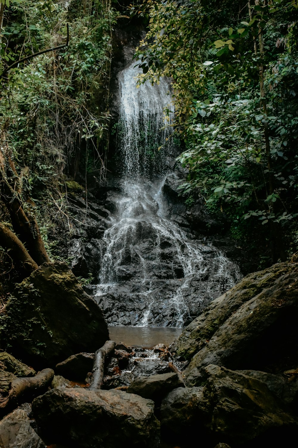 a small waterfall in the middle of a forest