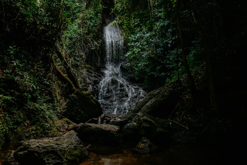 a small waterfall in the middle of a jungle