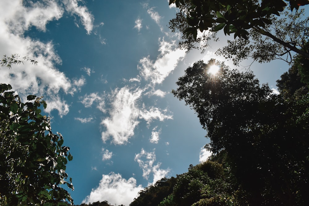 the sun shines through the clouds above the trees