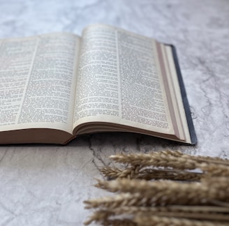 an open book sitting on top of a table