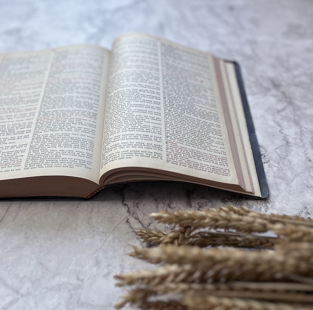 an open book sitting on top of a table