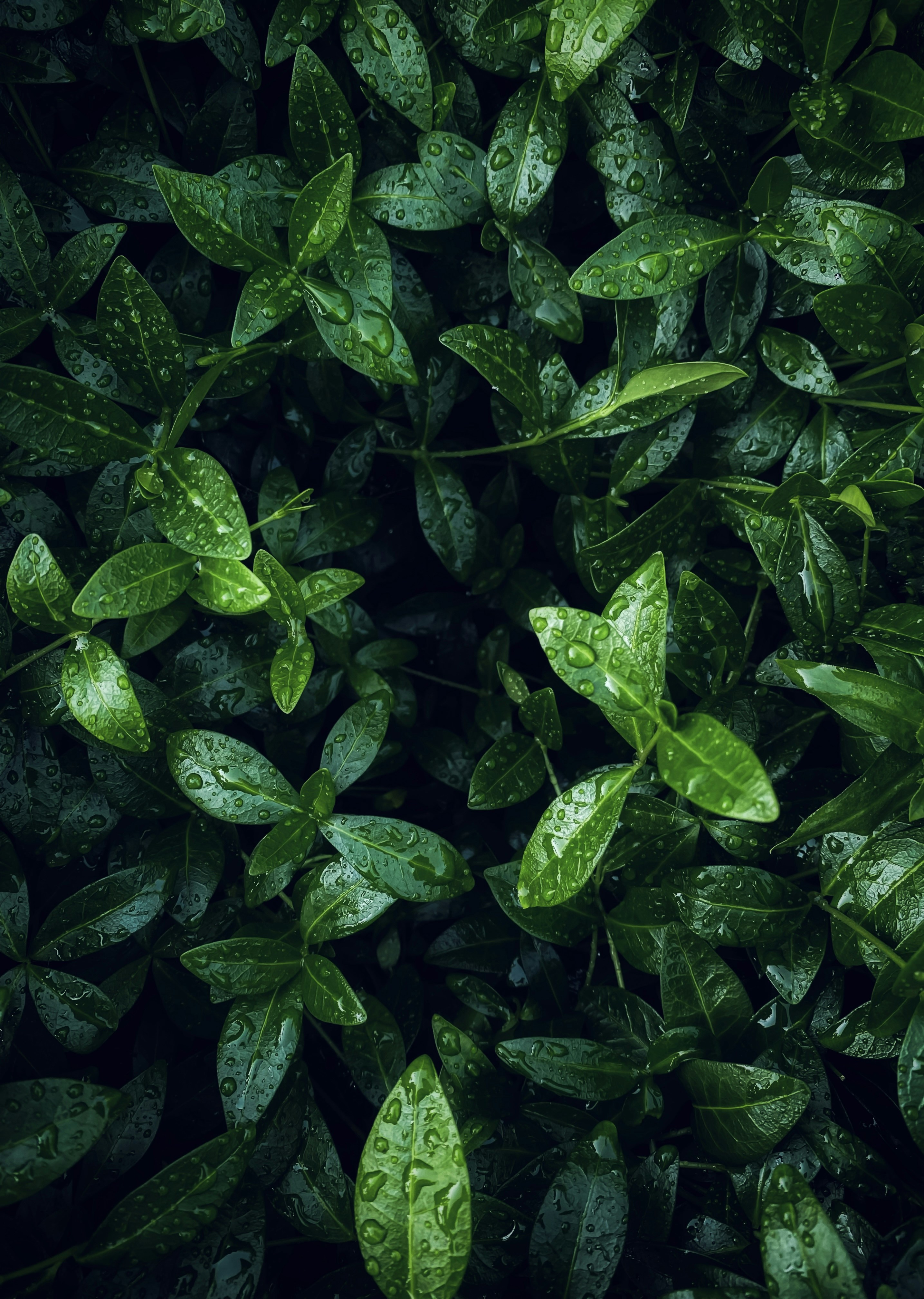 Photo by eugene_golovesov