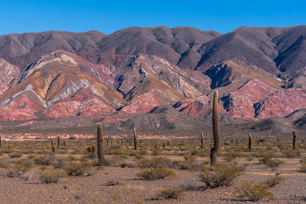 a desert landscape with mountains in the background