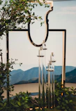 Elegant bottle of vidama's premium water with natural mountain background.
