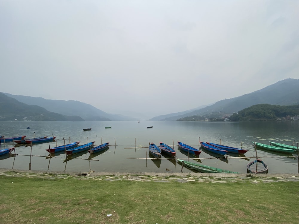 um monte de barcos que estão sentados na água