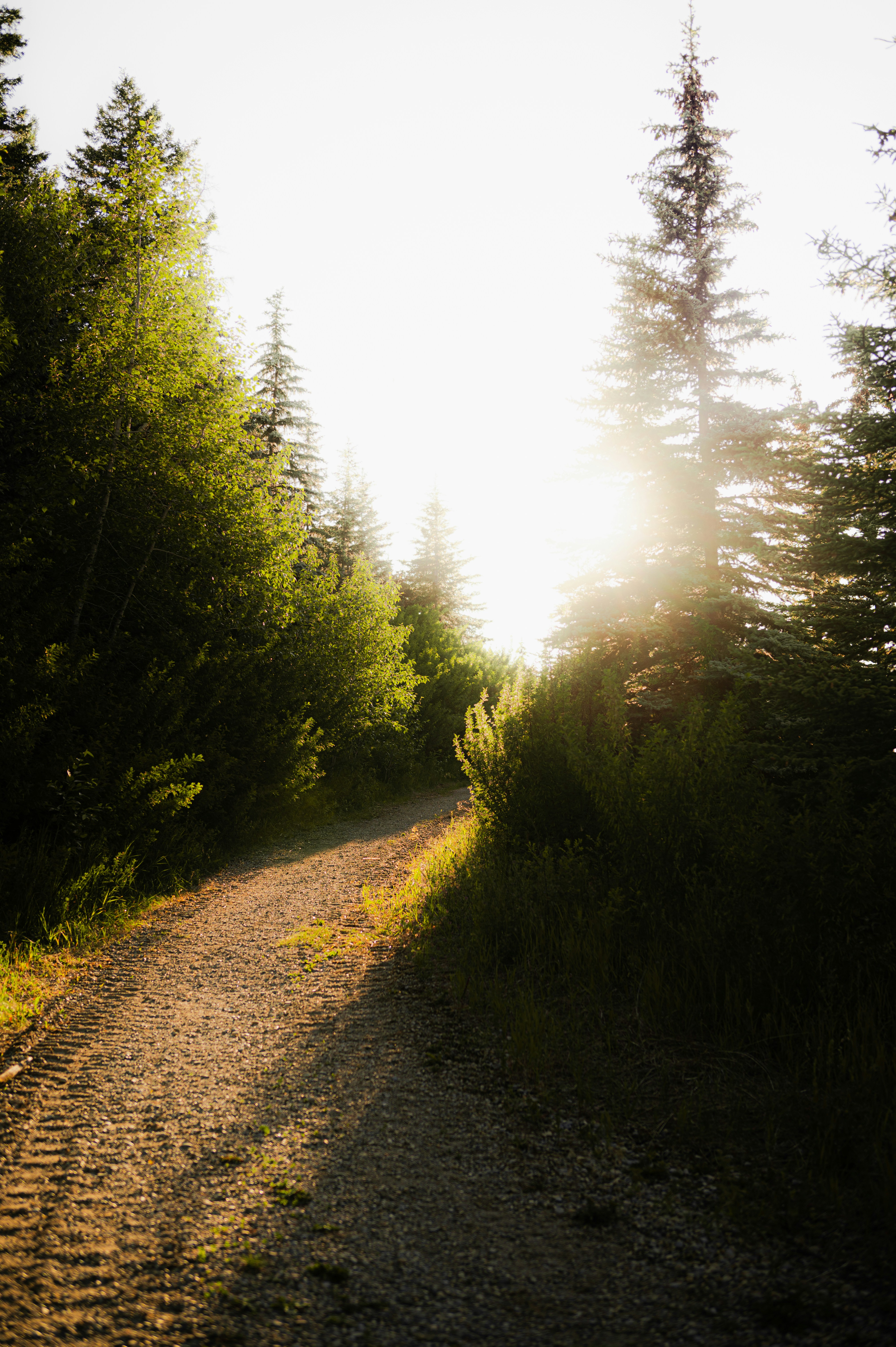 Photo by ryunosuke_kikuno