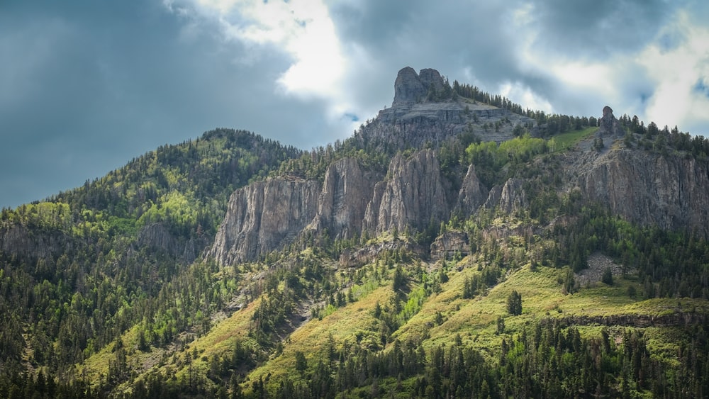 a very tall mountain with a lot of trees on top of it