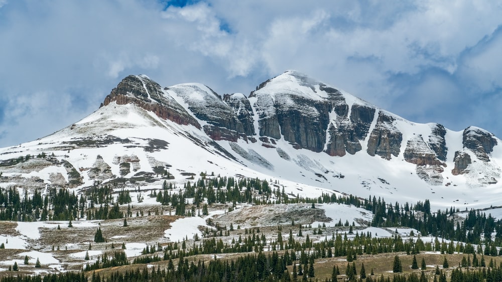 a mountain covered in snow and surrounded by trees