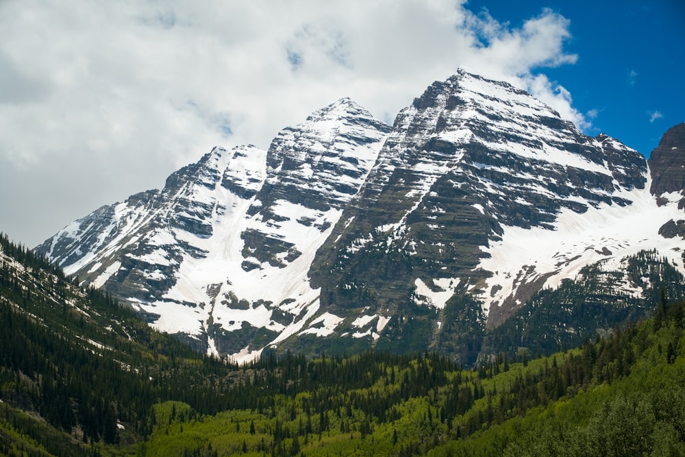 a mountain covered in snow and surrounded by trees