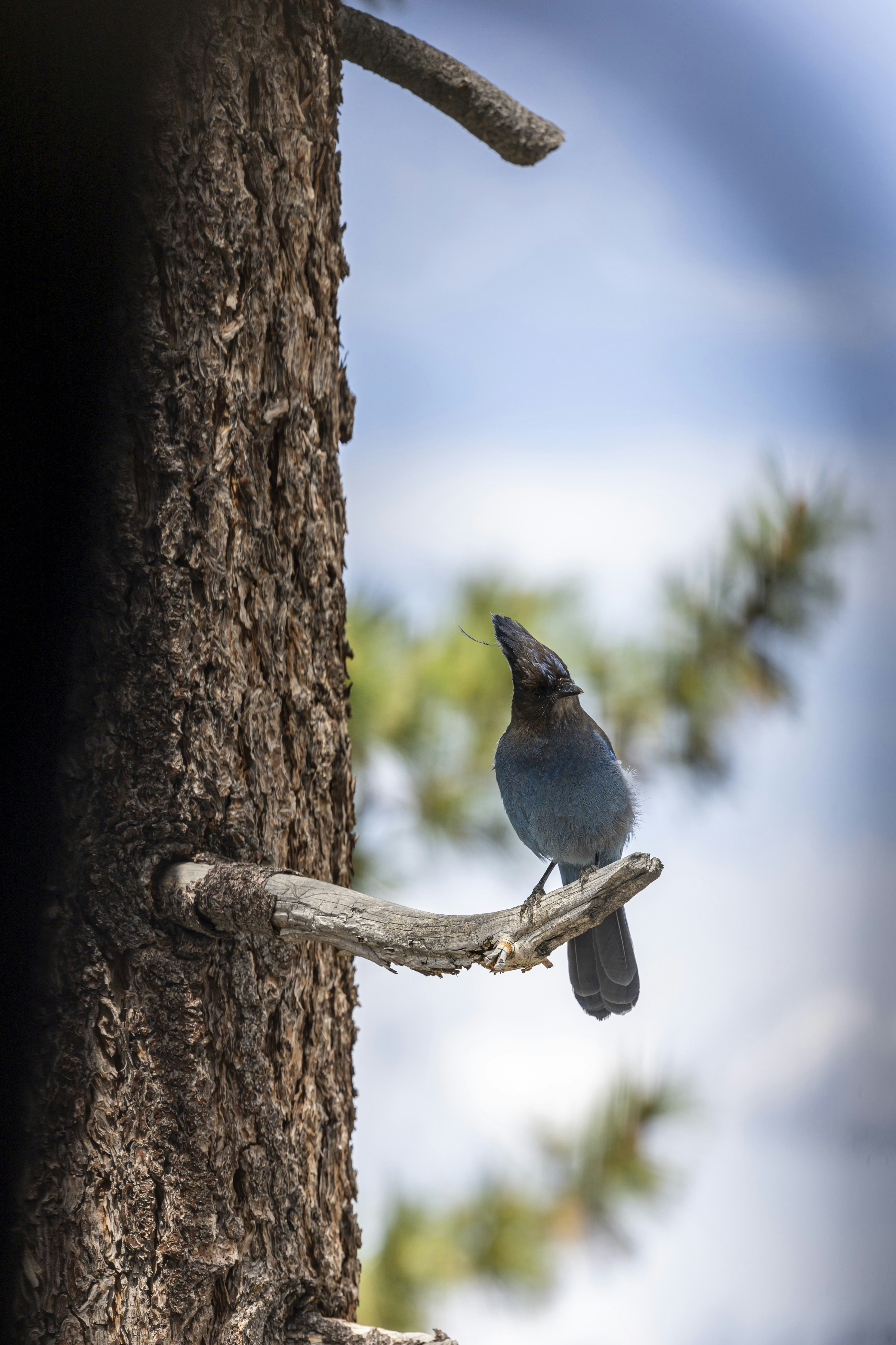 Photo by leo_visions_