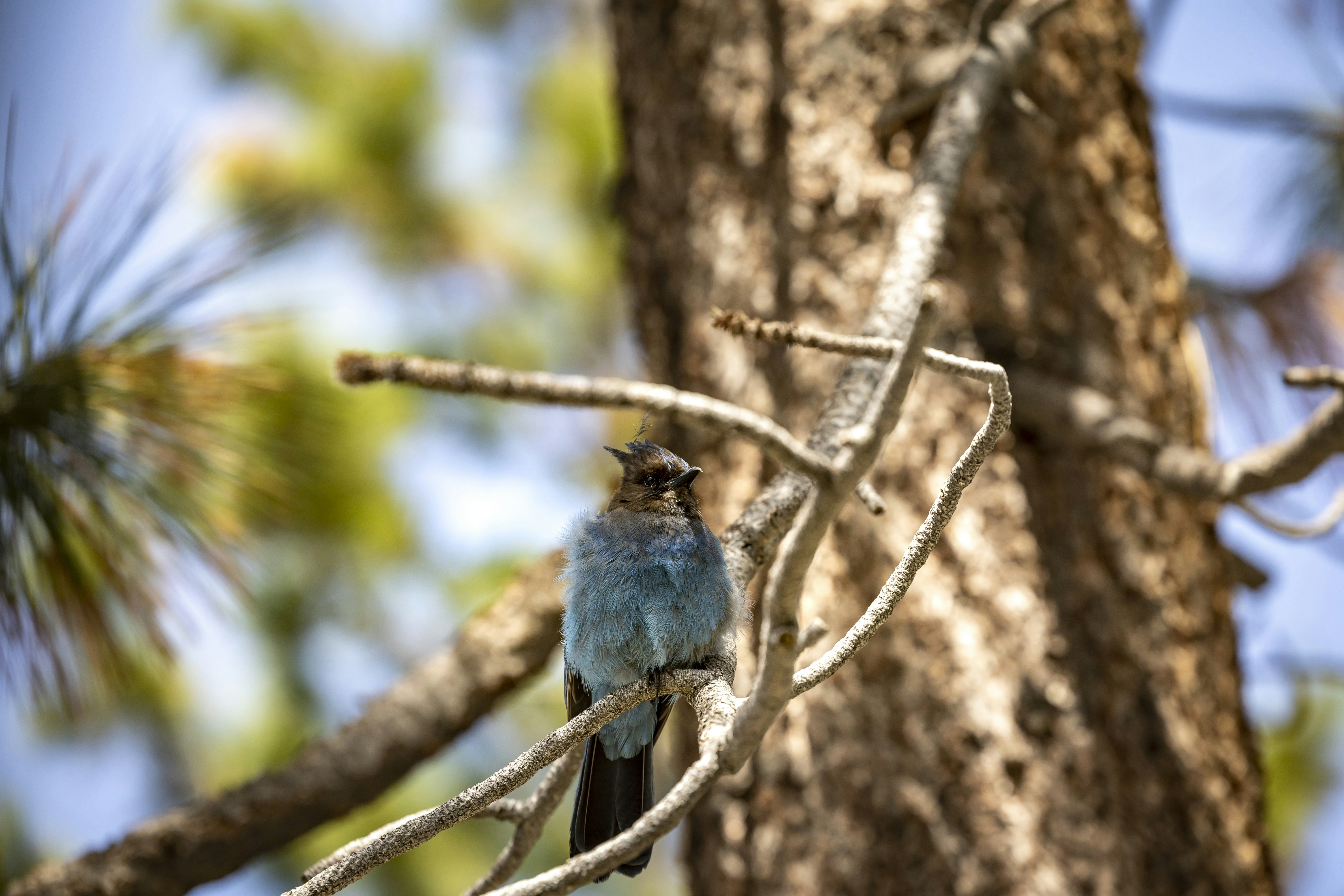 Photo by leo_visions_