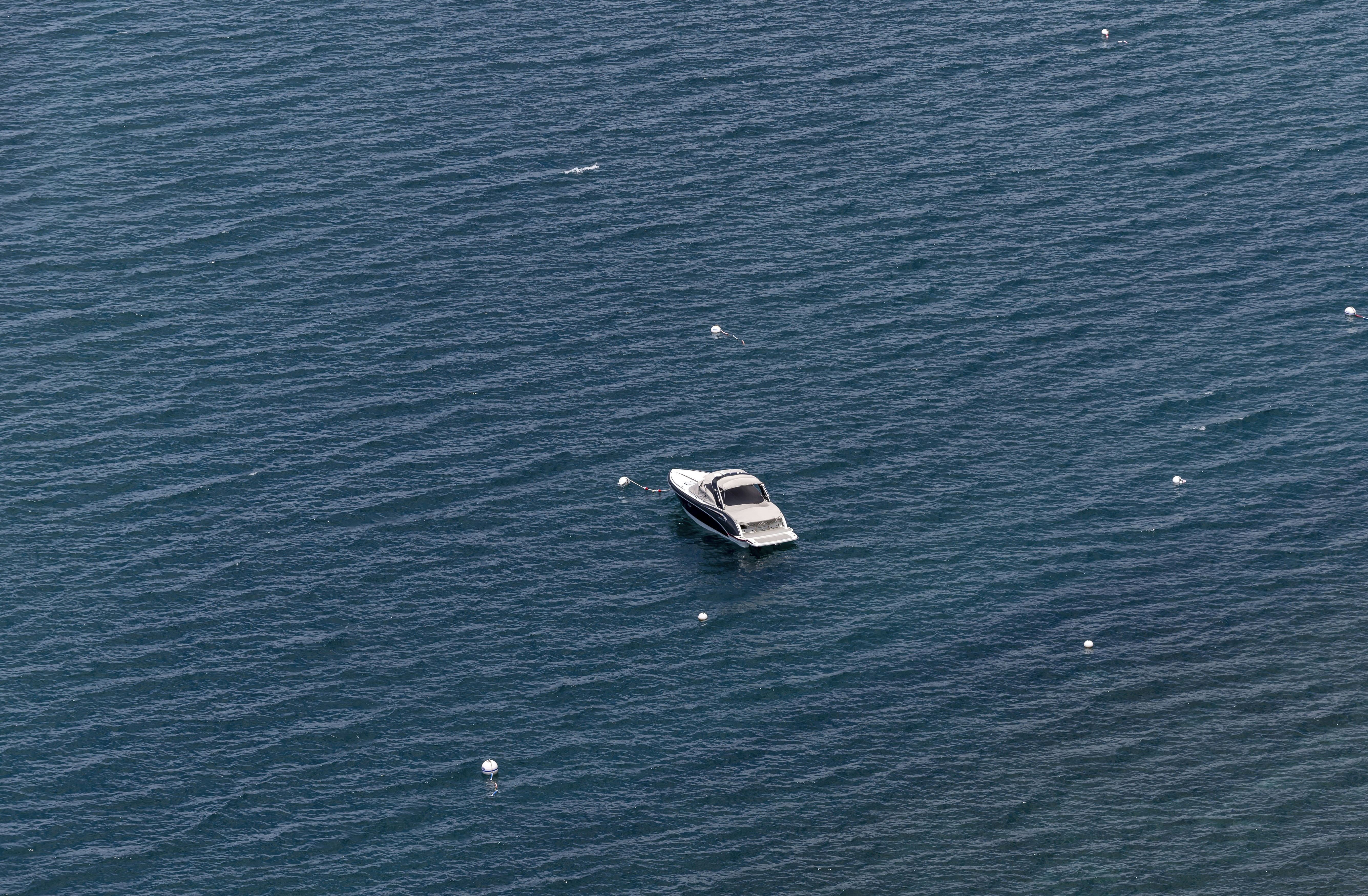 Photo by leo_visions_