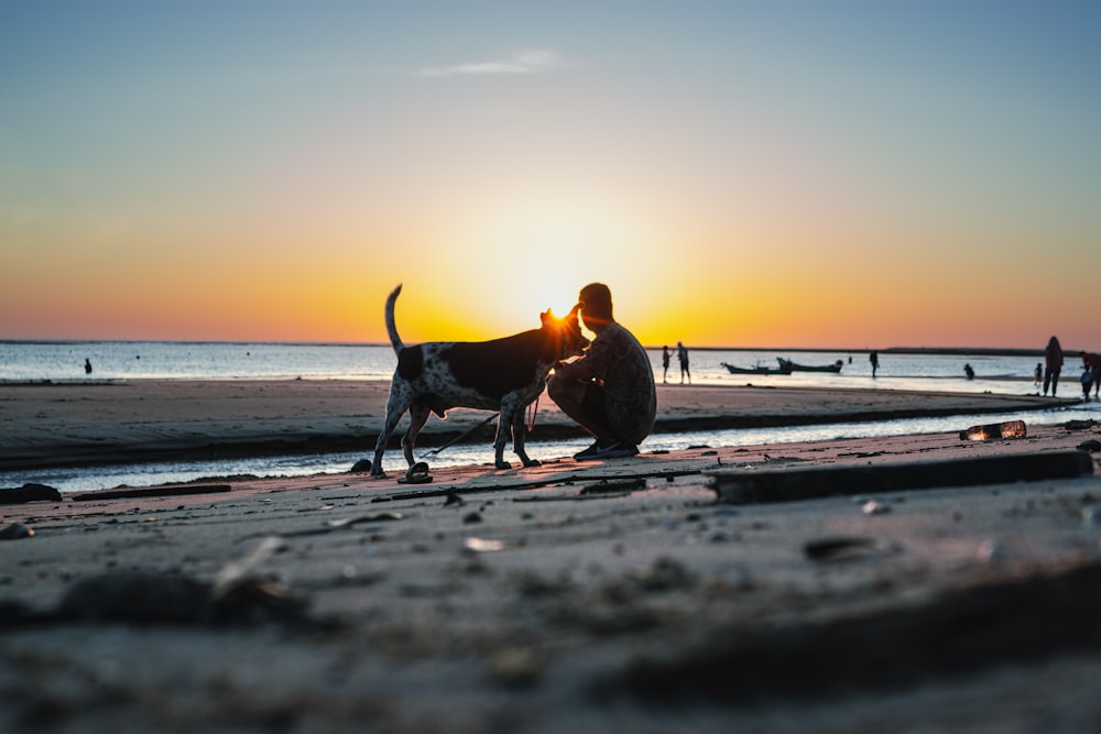 a person sitting on a beach with a dog