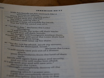 photo-1687502631206-f4eac2b839a0?q=85&w=340&h=340&fit=crop Home