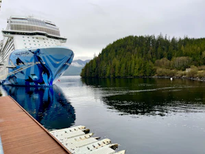 A large cruise ship painted with marine life motifs docks beside a serene body of water. Lush green trees cover the sloping hillside in the background. The scene is calm and peaceful, with overcast skies reflecting on the water's surface.