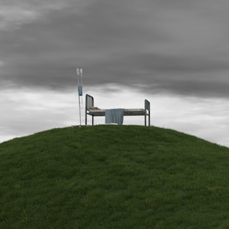 a bench sitting on top of a lush green hillside