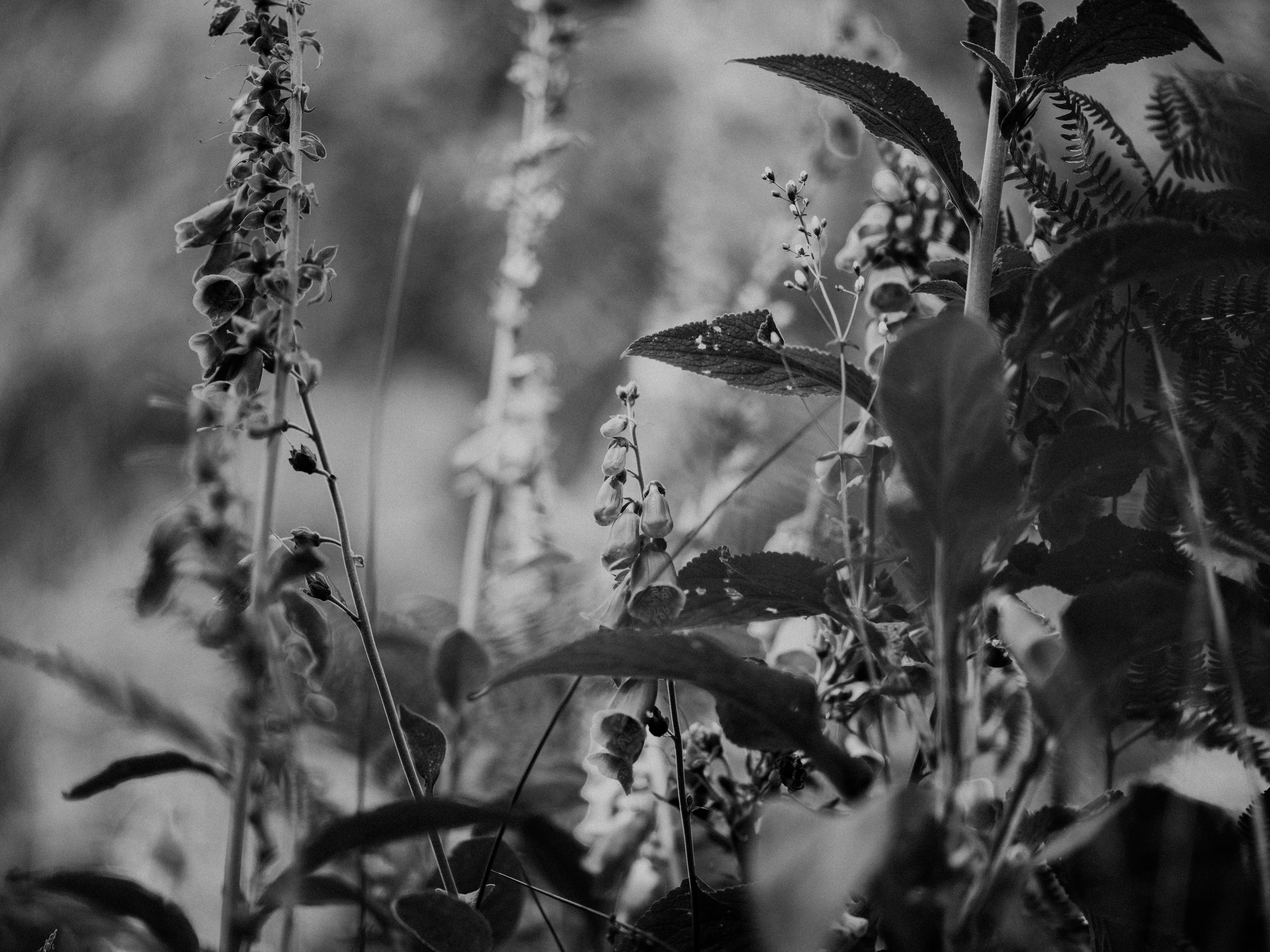 Photo by anniespratt