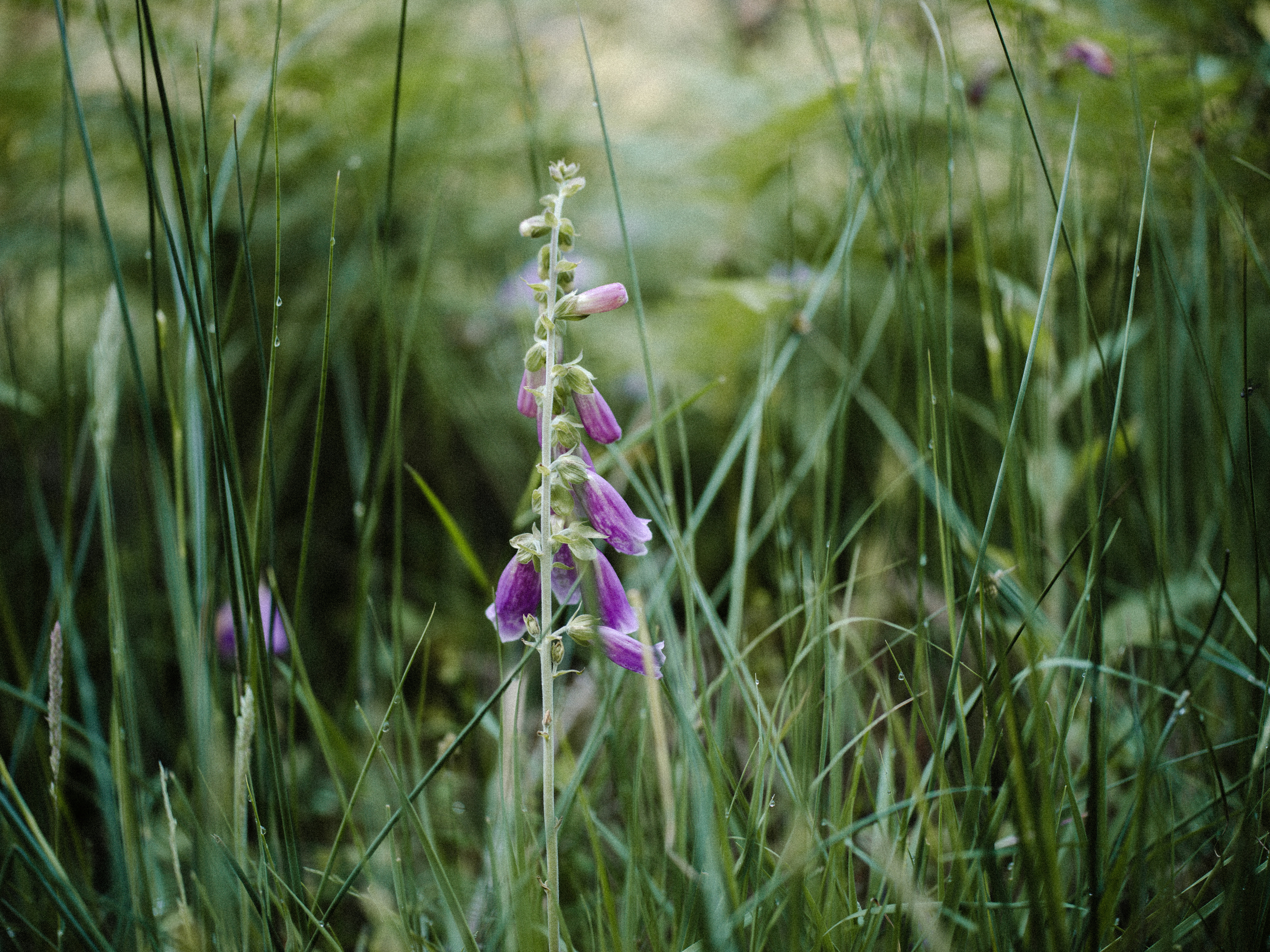 Photo by anniespratt