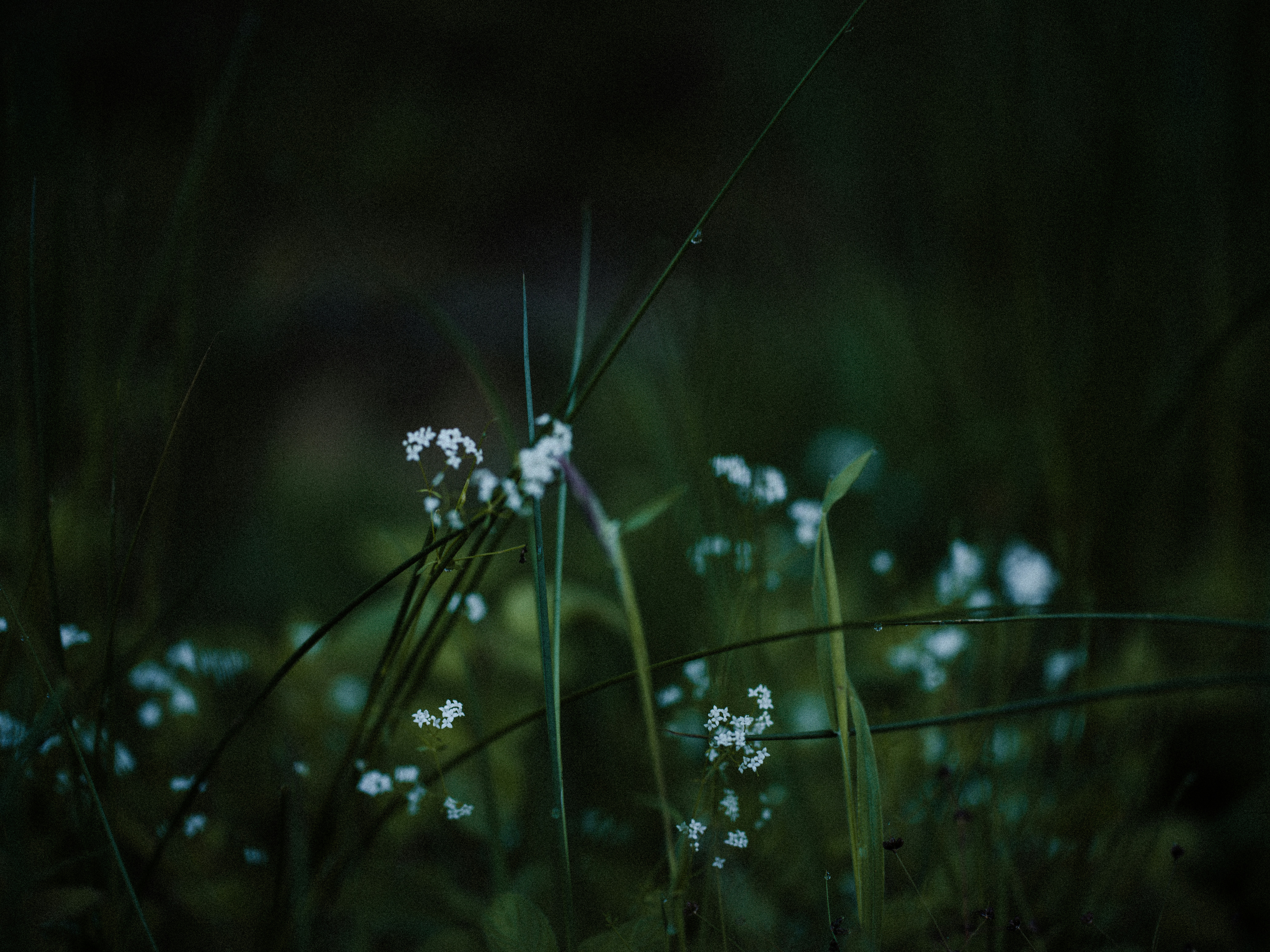 Photo by anniespratt