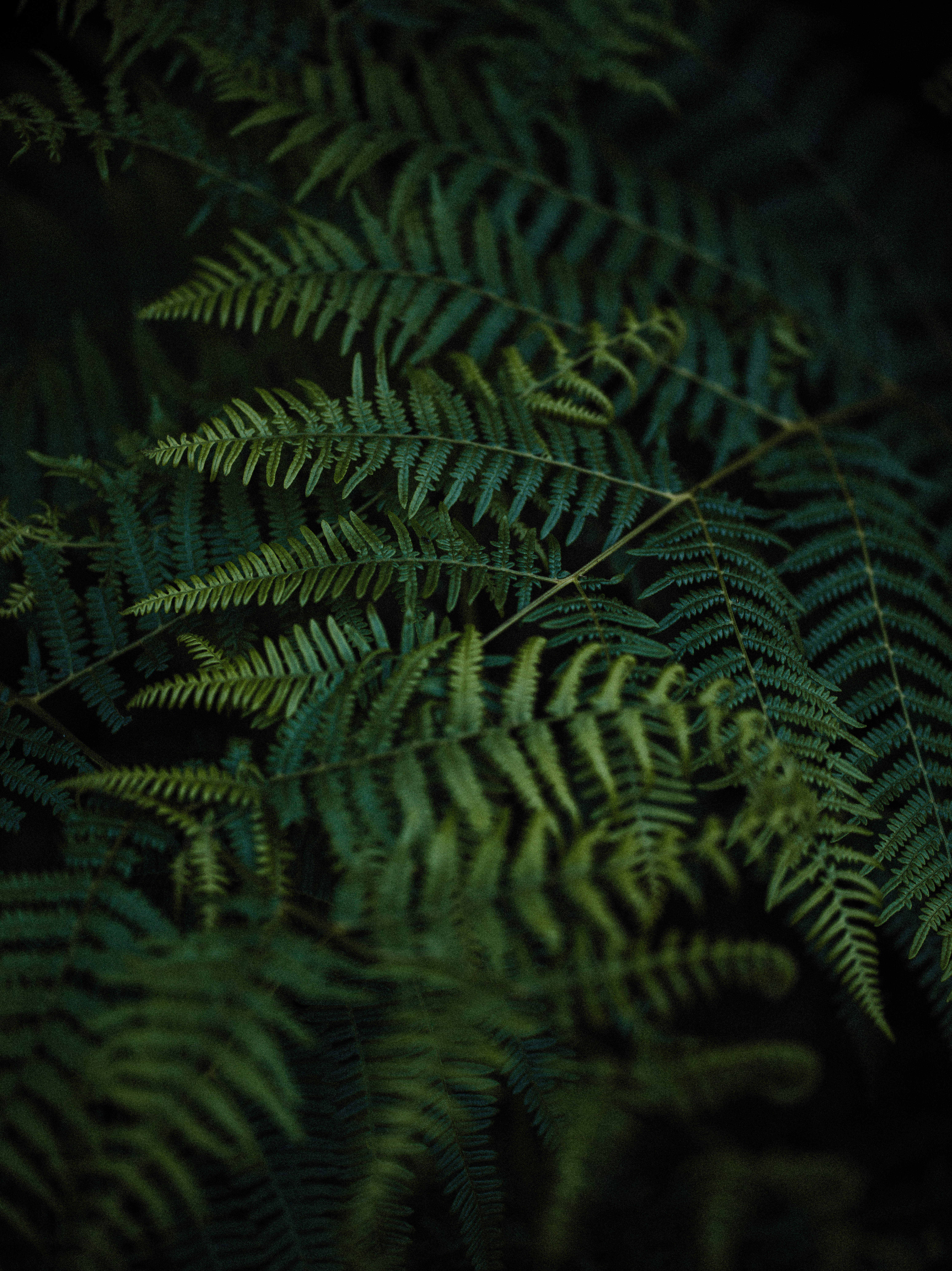 Photo by anniespratt