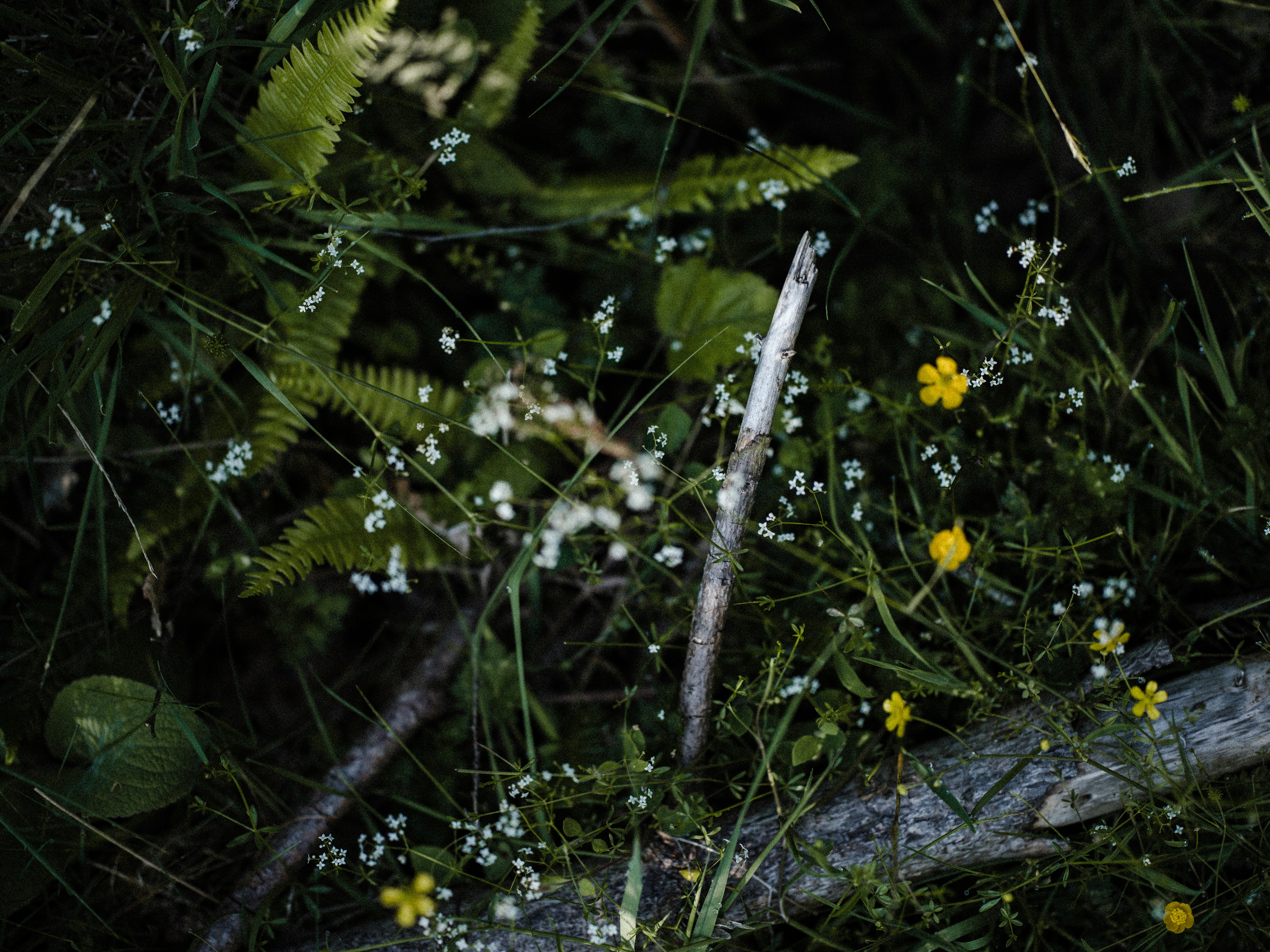 Photo by anniespratt