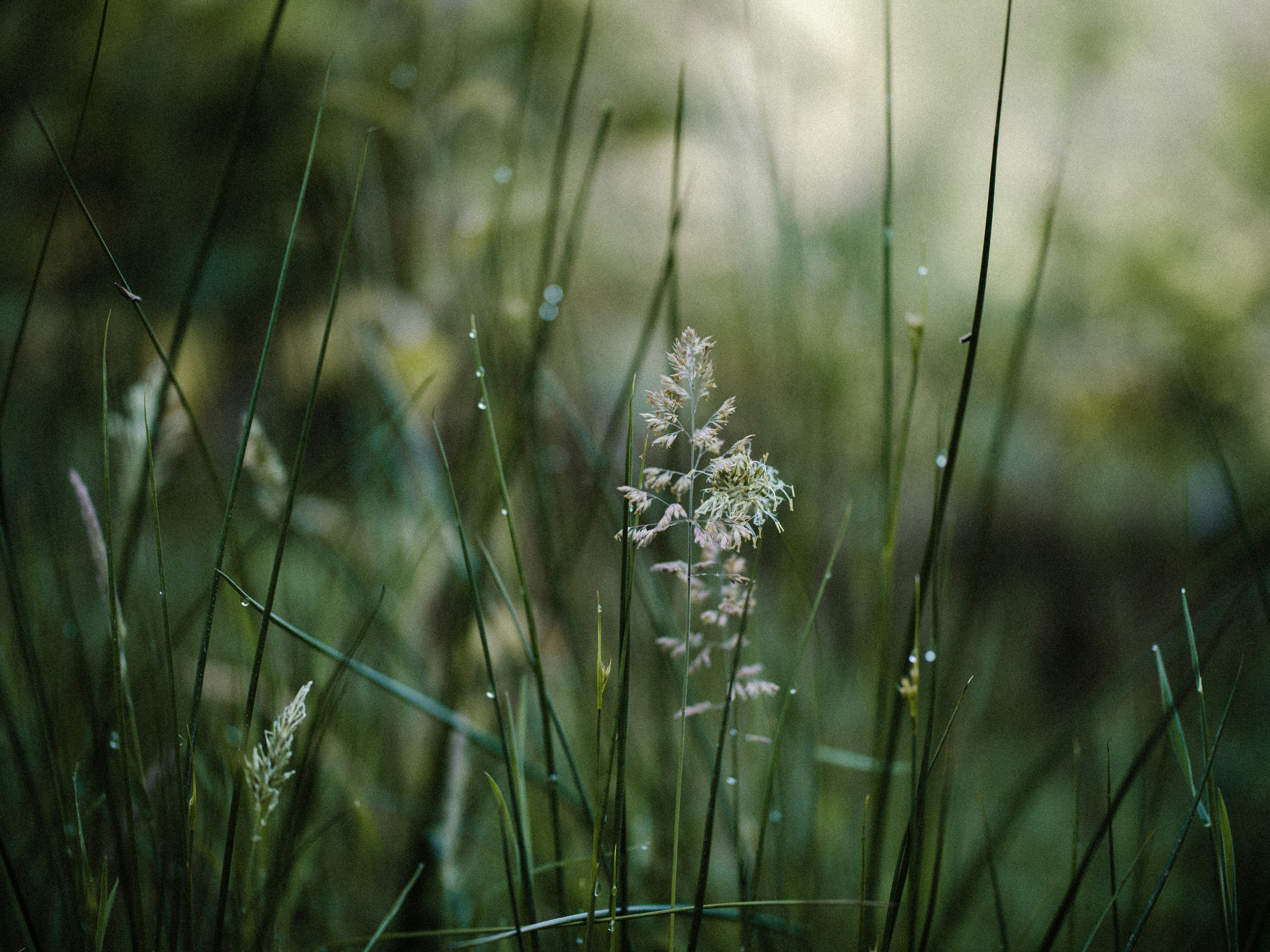 Photo by anniespratt