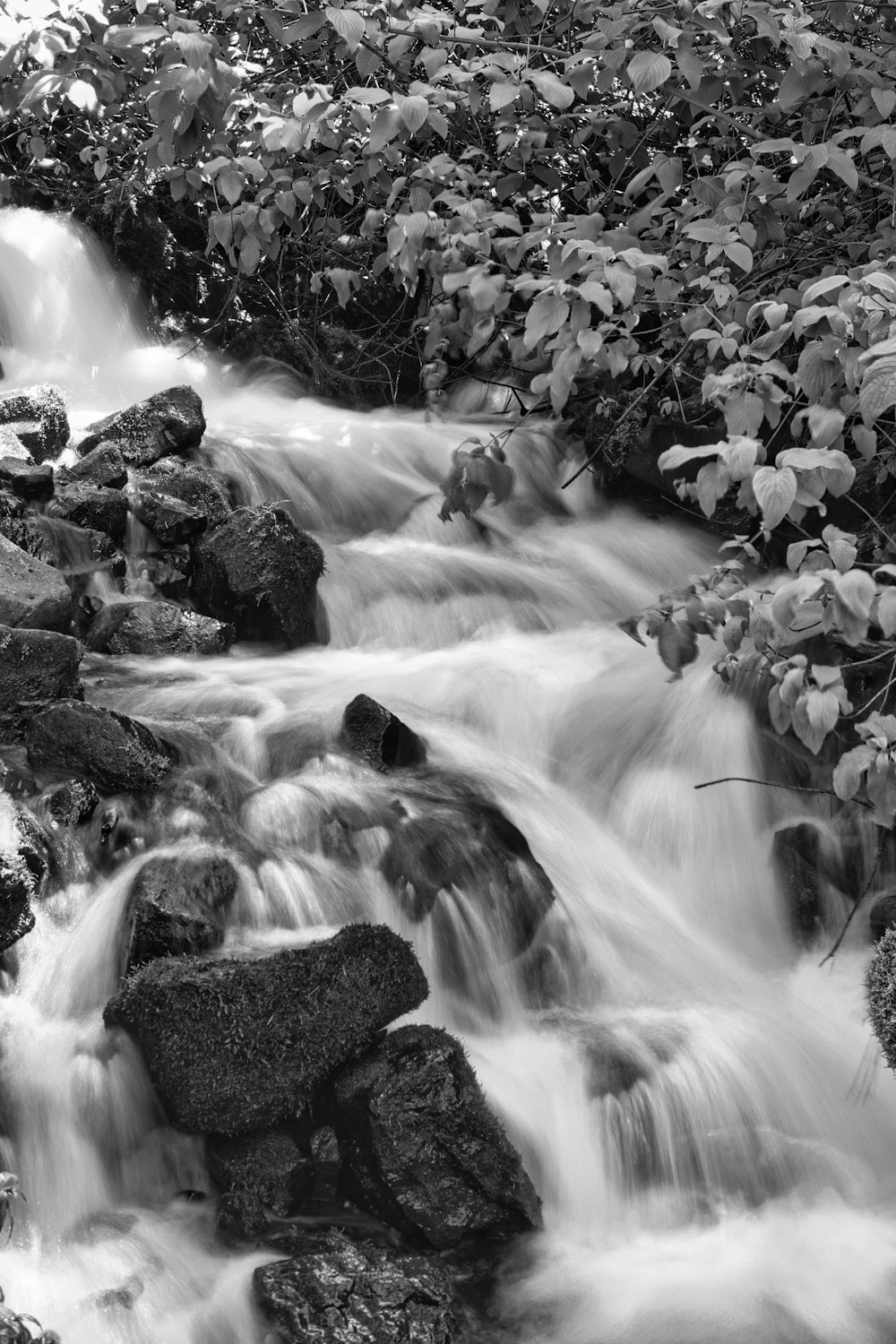 a black and white photo of a stream