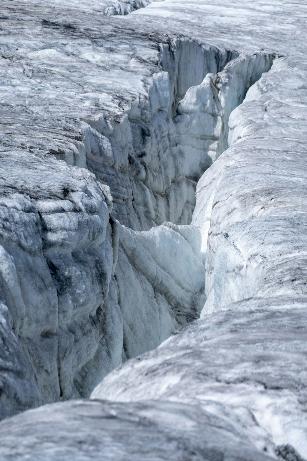 A bird is standing on a crack in the ice photo – Free Glacier Image on  Unsplash