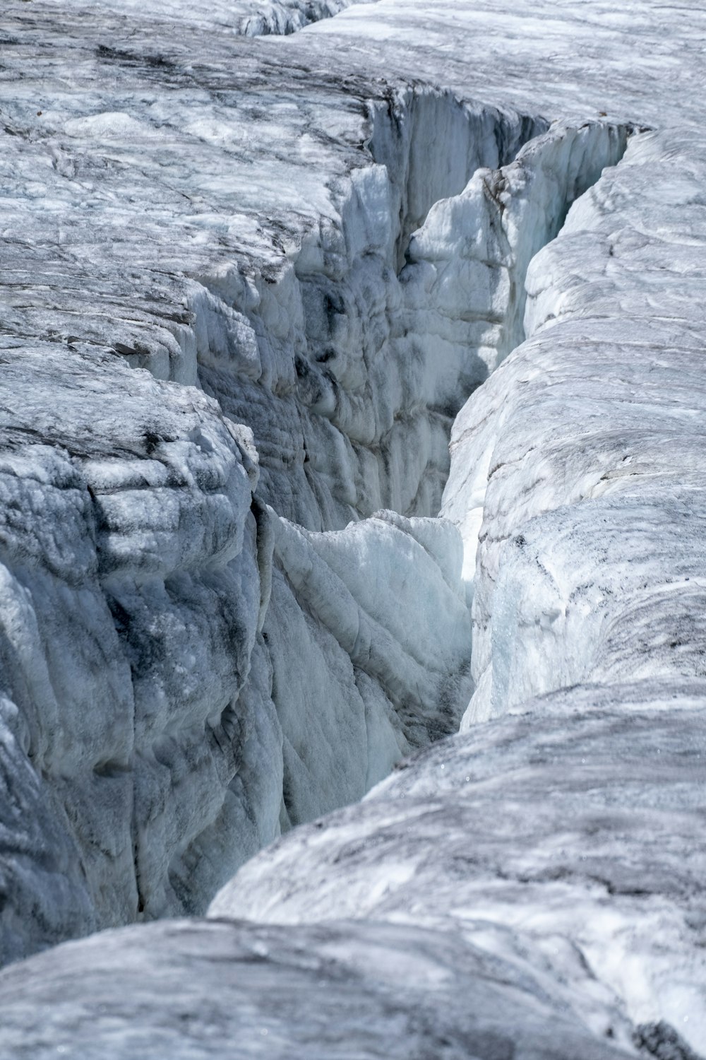 a bird is standing on a crack in the ice