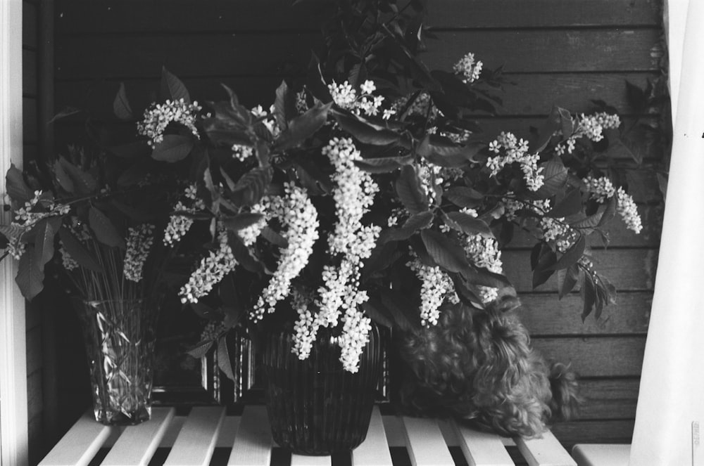 a black and white photo of flowers in vases