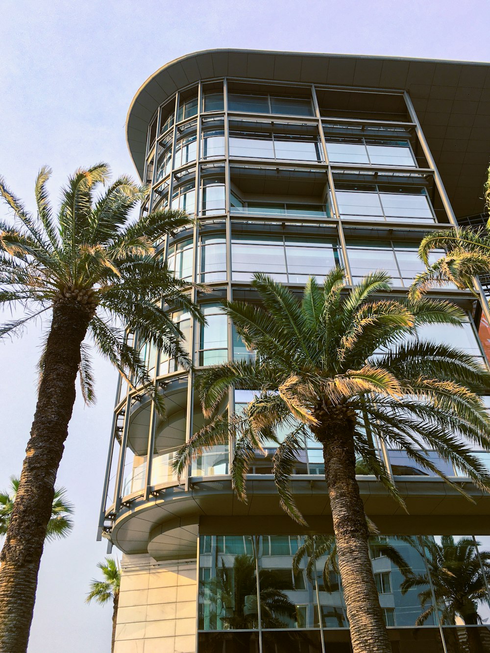 a tall building with palm trees in front of it