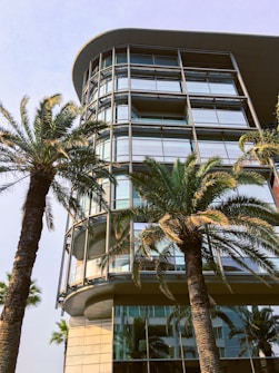 A modern glass building with multiple floors showcases sleek design and contemporary architecture. Several tall palm trees in the foreground add a tropical atmosphere to the scene. The building has reflective windows that mirror the surroundings, including the palm trees.
