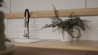 A modern kitchen interior featuring a sleek stainless steel faucet over a rectangular sink. To the right, a potted plant with green foliage sits on the wooden countertop against a backdrop of white subway tiles.