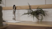 A modern kitchen interior featuring a sleek stainless steel faucet over a rectangular sink. To the right, a potted plant with green foliage sits on the wooden countertop against a backdrop of white subway tiles.