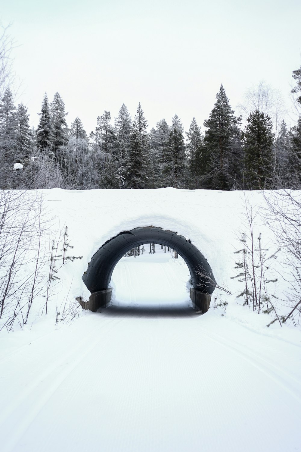 a tunnel in the snow with trees in the background