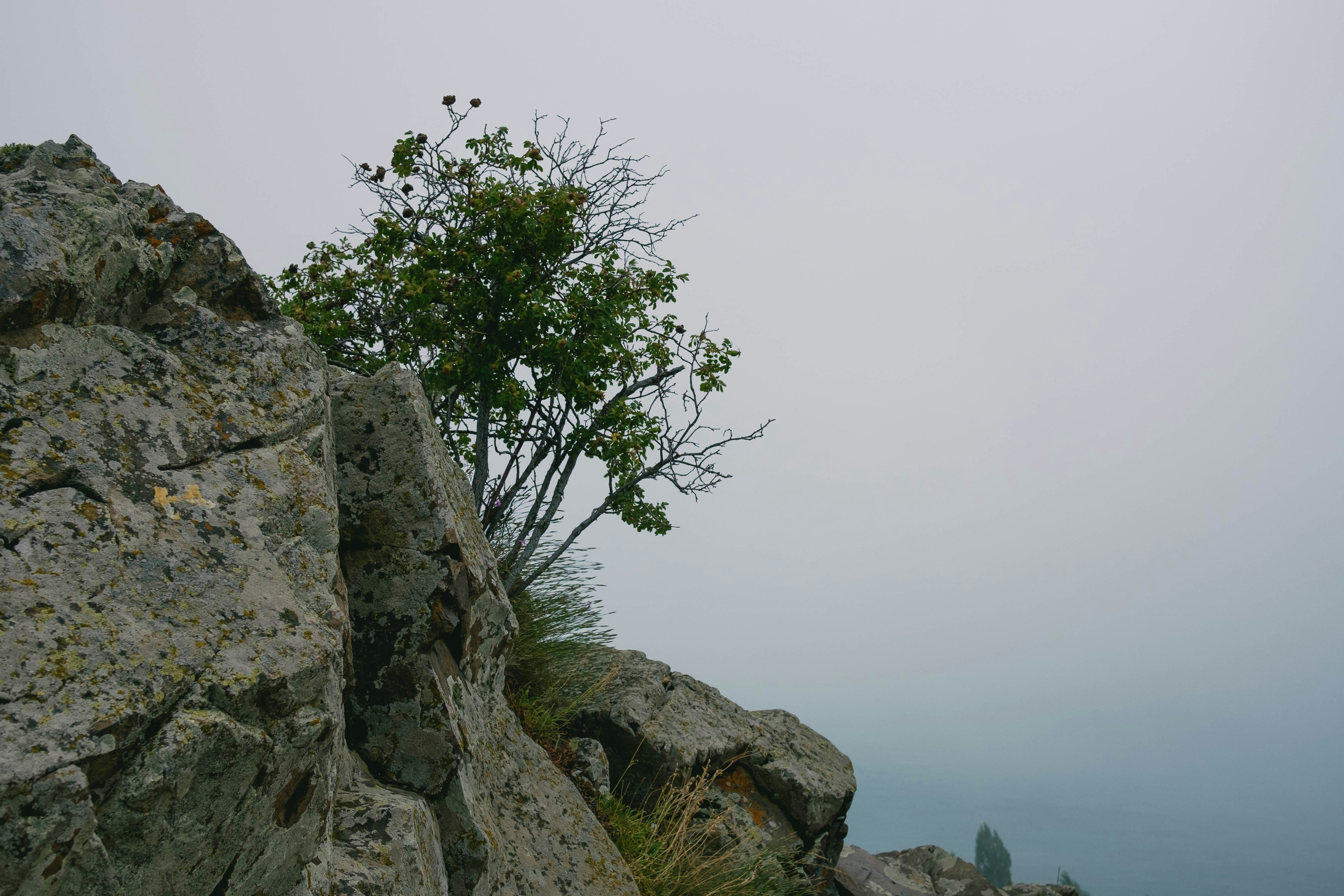 Photo by mirrors_are_more_fun