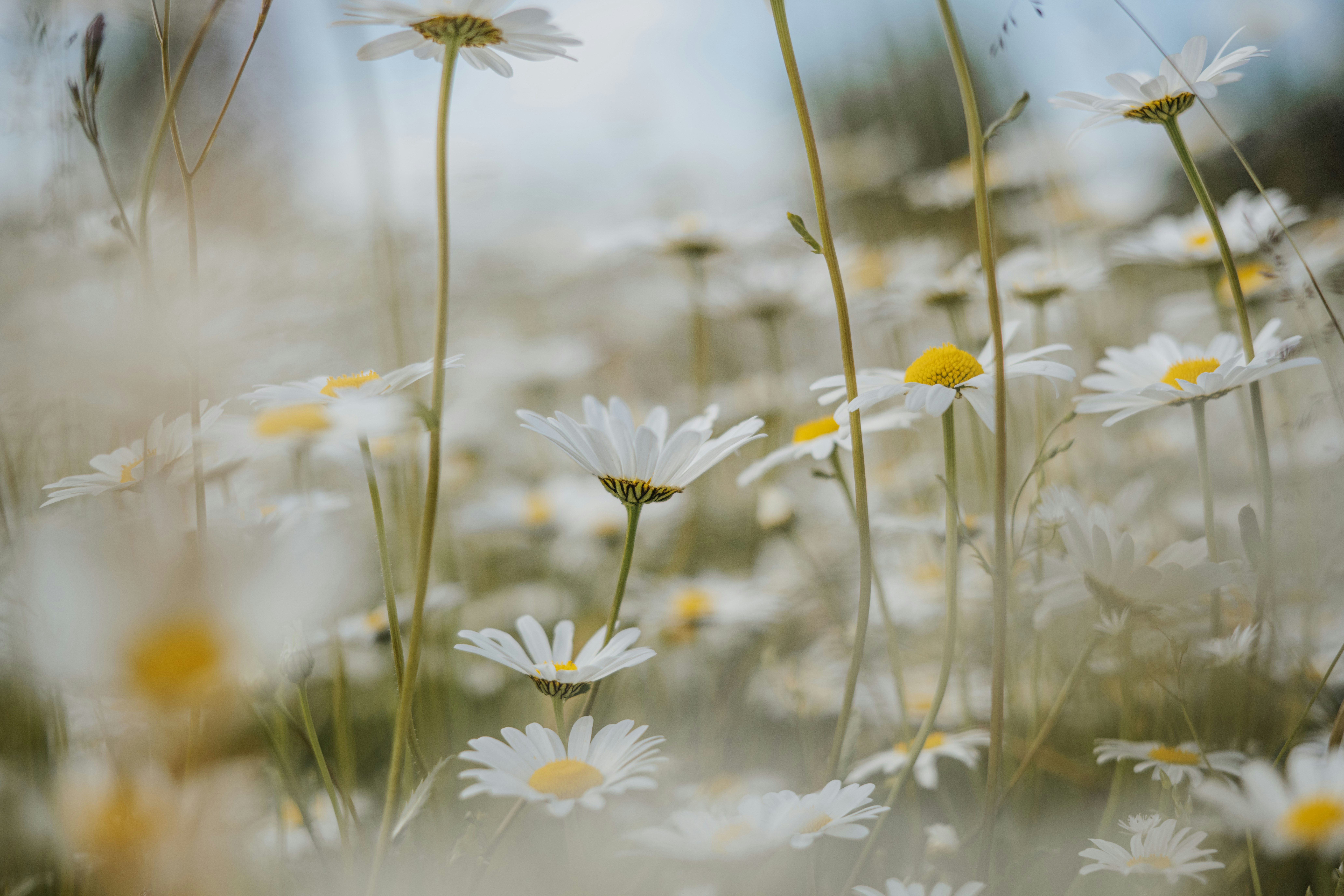 Photo by anitaaustvika