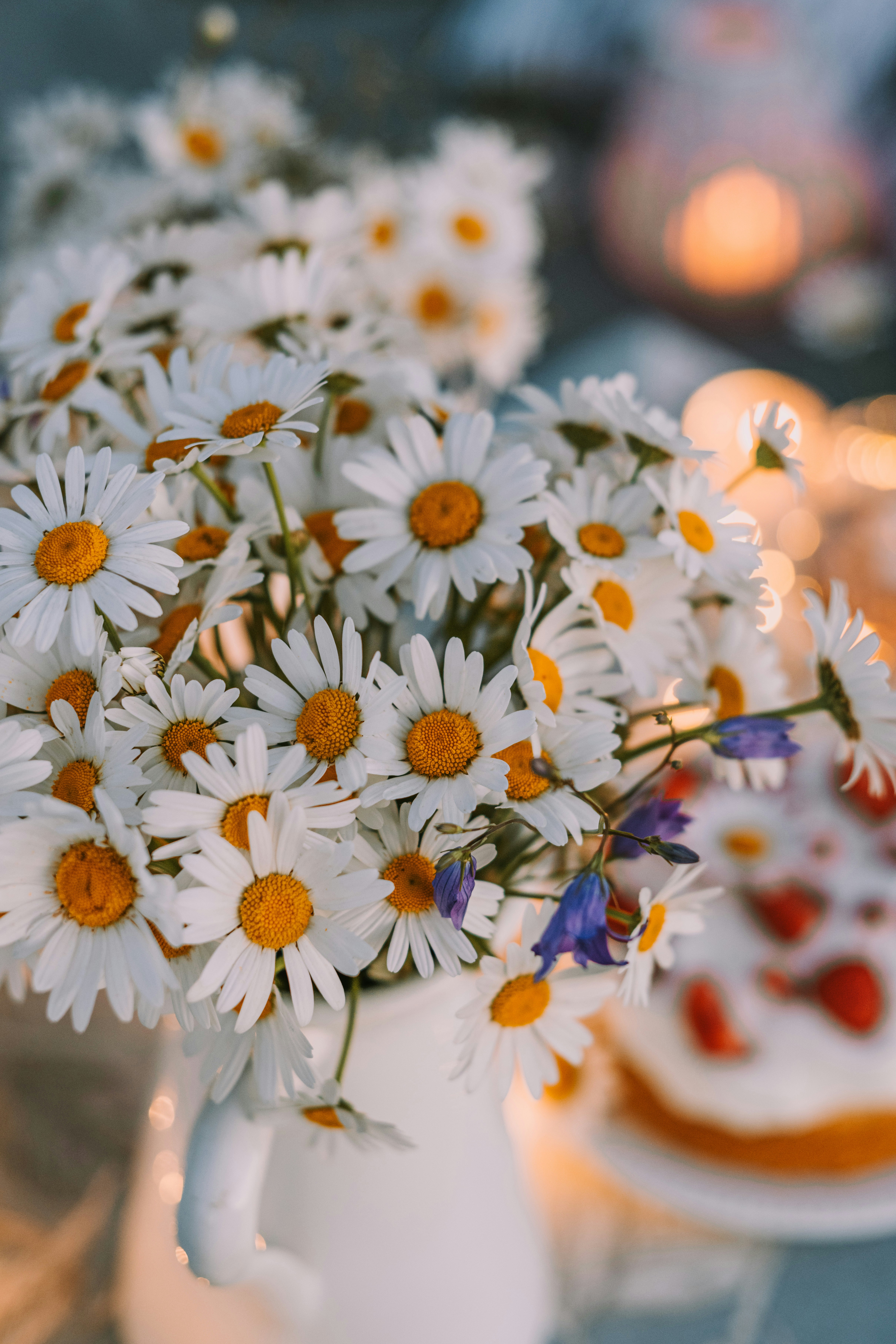 Photo by anitaaustvika