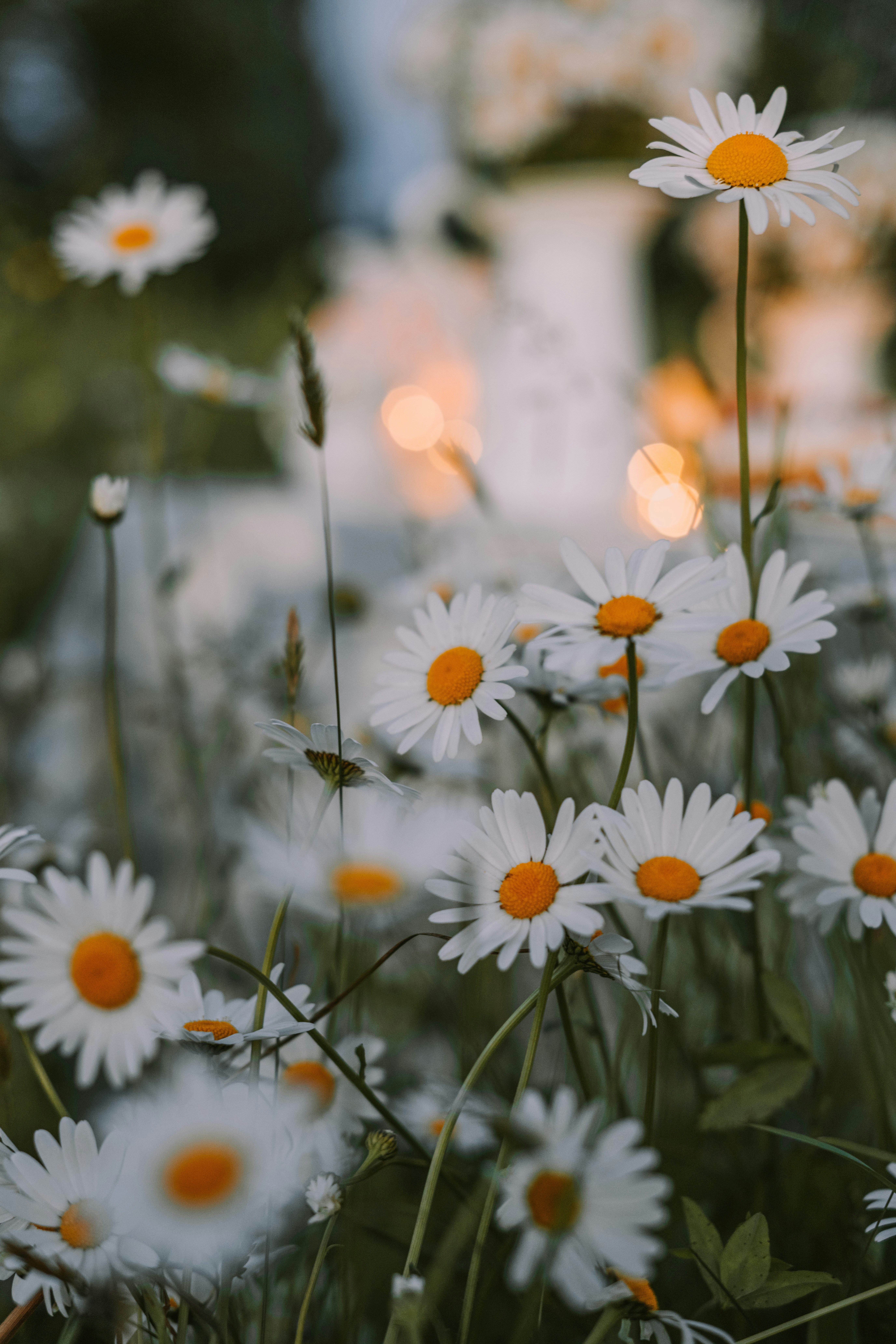 Photo by anitaaustvika