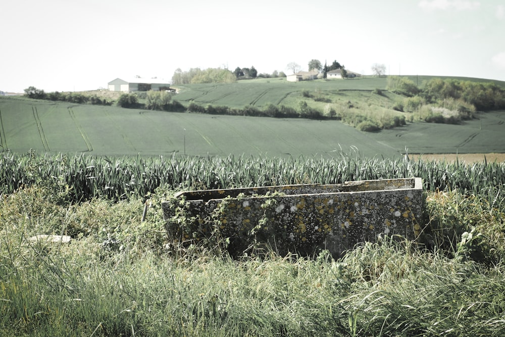 a field with a box in the middle of it